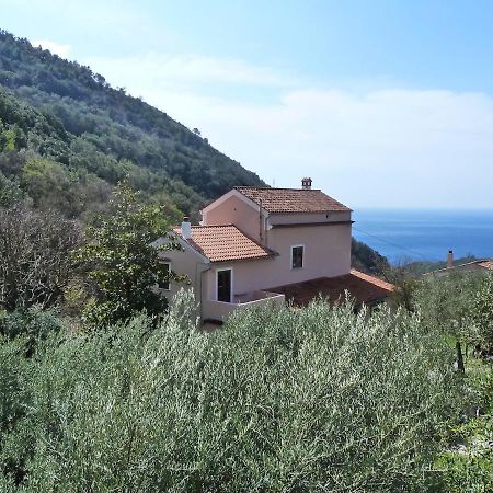 Casa Puccini B&B Maratea Exteriör bild