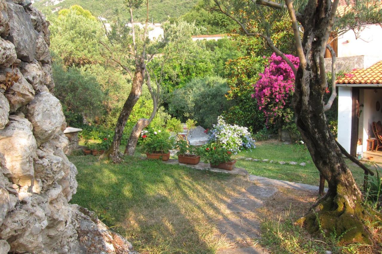 Casa Puccini B&B Maratea Exteriör bild