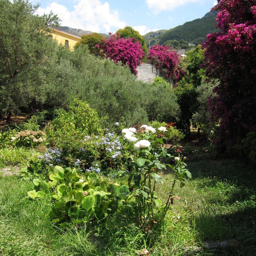 Casa Puccini B&B Maratea Exteriör bild