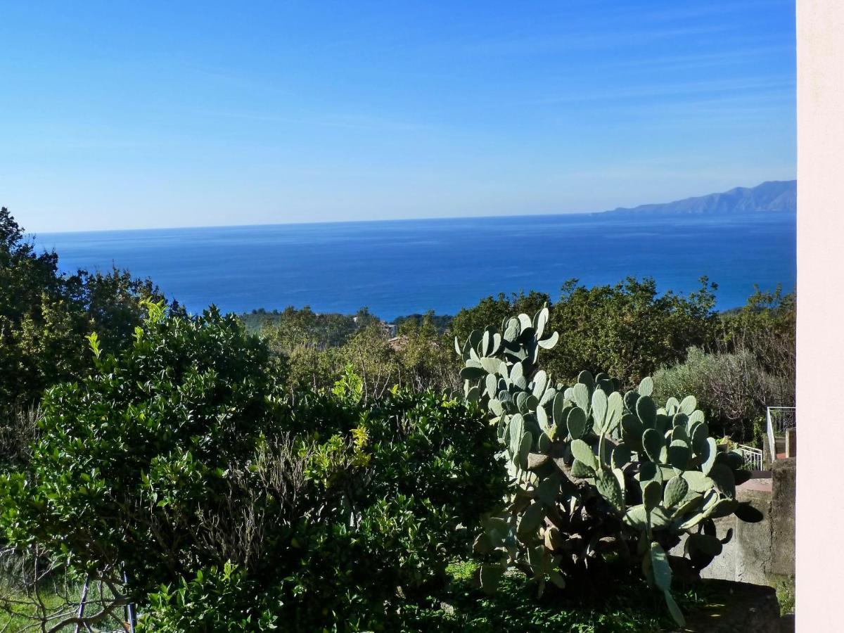 Casa Puccini B&B Maratea Exteriör bild