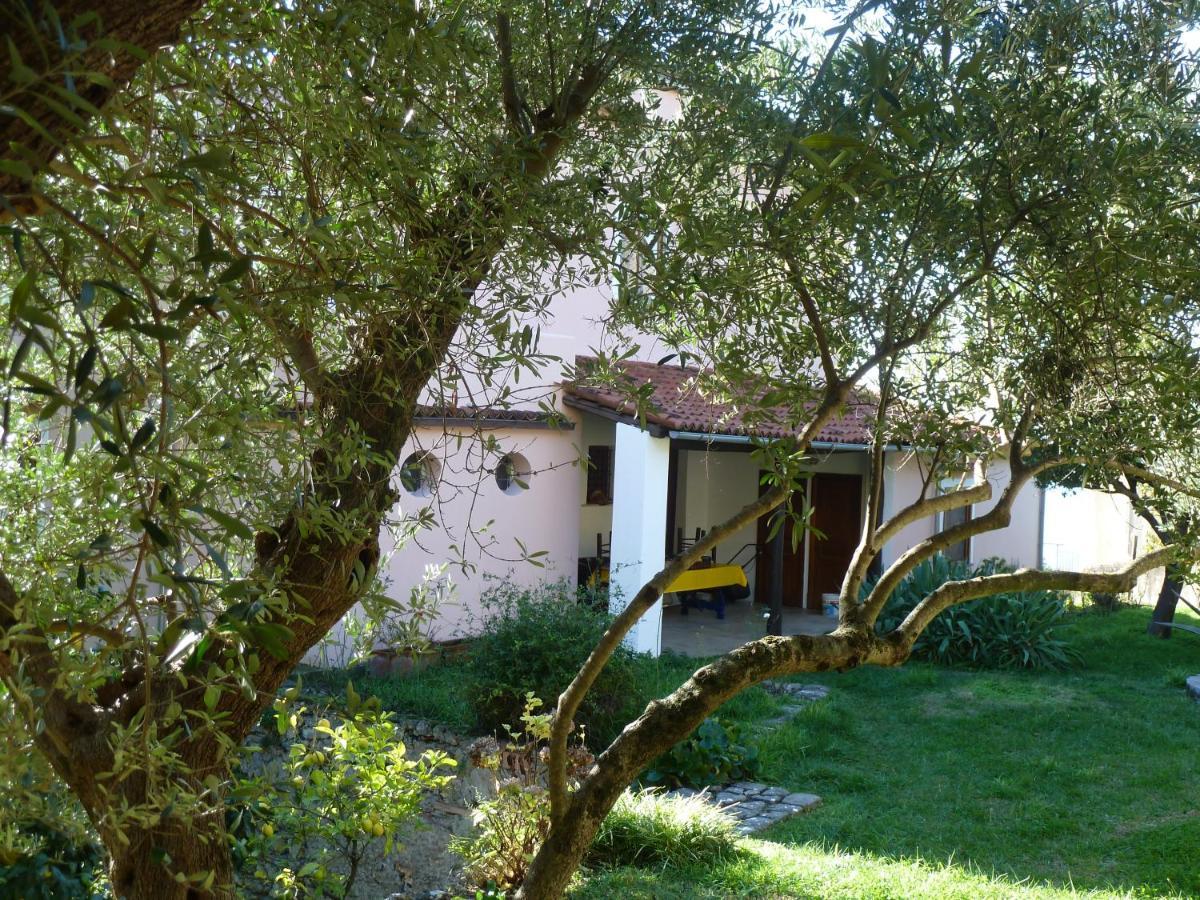 Casa Puccini B&B Maratea Exteriör bild